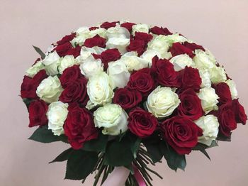 51 роза микс ,Кения, 40см