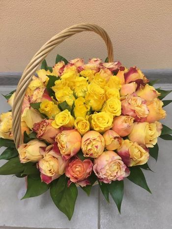 51 роза в корзине ,Эквадор, 60см