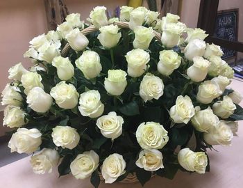 101 роза в корзине ,Кения, 40см