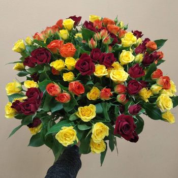 51 кустовая роза
