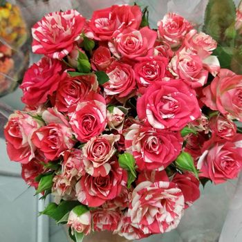 25 кустовых роз