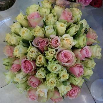 Букет из 51 розы, микс Утро, 40см, кения.